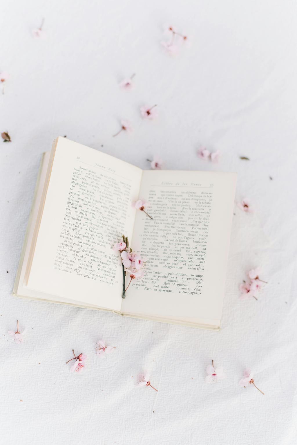 The Art of Blooming in Your Own Time&nbsp;🌸